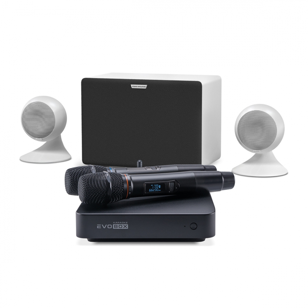 караоке-комплект EVOBOX Classic + EvoSound Sphere 2.1 в Ингушетии