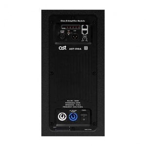 Активная акустическая система AST-310A в Ингушетии