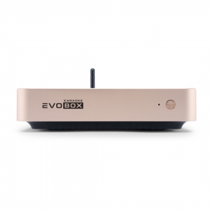 EVOBOX Plus караоке-система для дома в Ингушетии